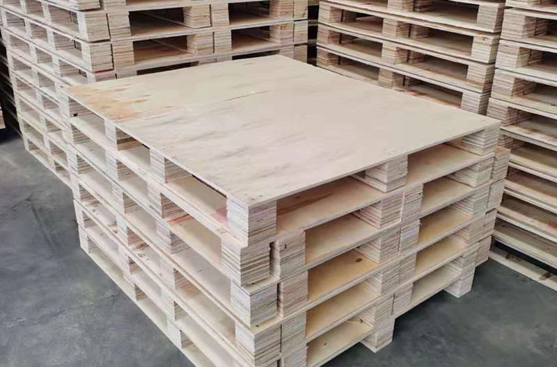 用過的免熏蒸托盤還能回收再用嗎？